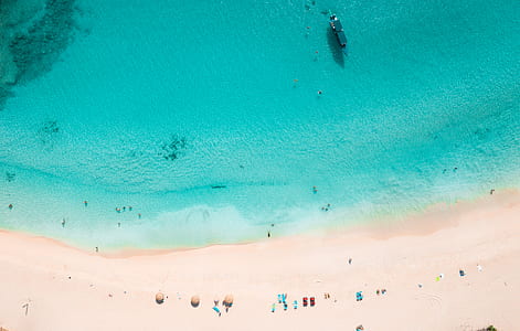 aerial photography of seashore thumbnail