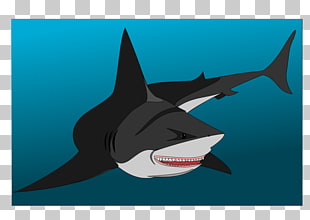 2 Bottom Feeder Png Cliparts For Free Download Uihere