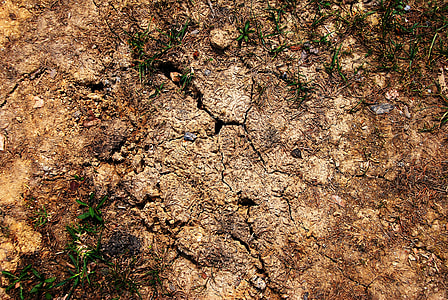 close-up photo of brown soil thumbnail