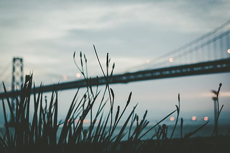 silhouette photo of Golden Gate Bridge, California thumbnail