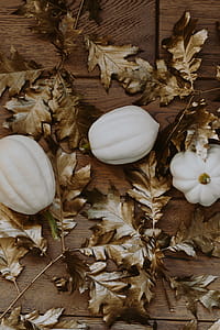 White pumpkins with golden oak leaves thumbnail
