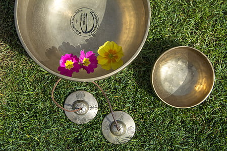 stainless steel bowl on green grass during daytime thumbnail