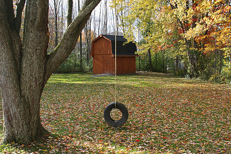 black tire swing near tree at daytime thumbnail