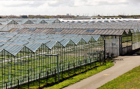 greenhouse under grey clouds during daytime thumbnail