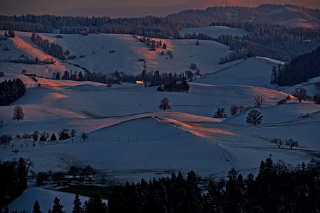 aerial photography of snowy terrain and trees thumbnail