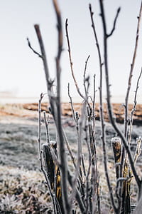 Winter freeze thumbnail