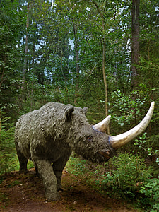 Coelodonta Anti Quitatis, Dinosaur thumbnail