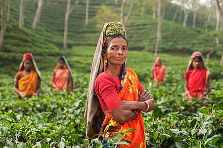 shallow depth of field photo of woman standing on crop field thumbnail