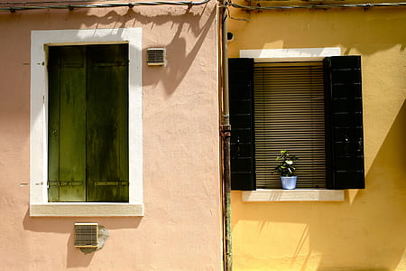 potted plant on window thumbnail