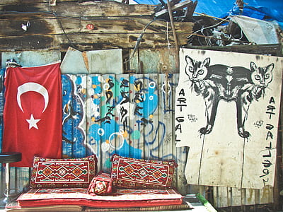 flag of turkey hanged on wall over sofa thumbnail