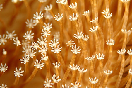 yellow textile thumbnail