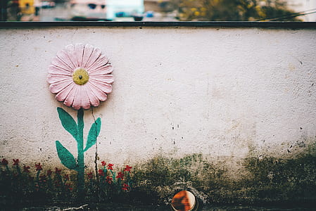 pink and green daisy emboss on gray concrete wall thumbnail