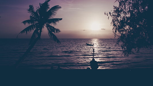 silhouette of a person sitting on seashore thumbnail
