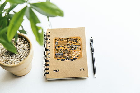 notebook, pen, plant, pot thumbnail