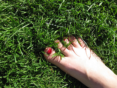 right human foot thumbnail