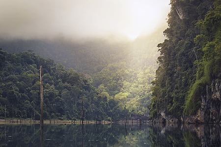 trees on hill reflecting on body of water thumbnail