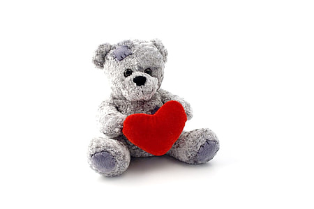photo of gray bear holding heart plush toy thumbnail