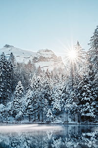 tree and mountain covered with snow under gray and blue sky during daytime thumbnail