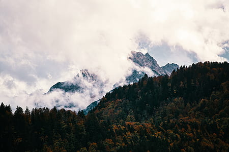 mountain covered with cloud during daytime thumbnail