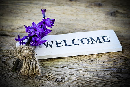 purple hyacinth flower on white welcome-printed wooden decor thumbnail