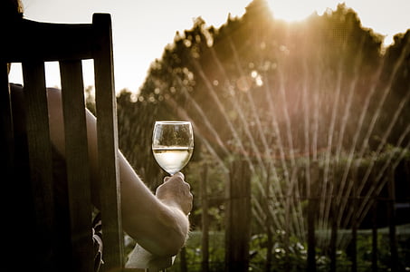 person sitting on brown wooden armchair holding a wine glass thumbnail