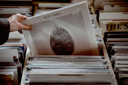 person holding Roo Panes vinyl sleeve thumbnail