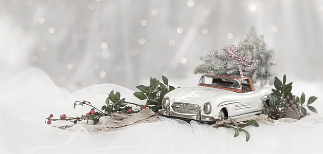 white coupe car decor thumbnail