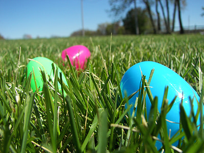 blue, pink, and green egg toys on grass thumbnail