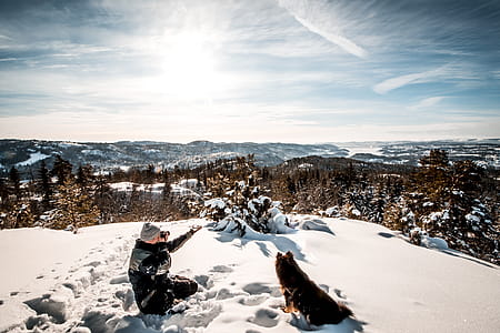 Man sitting near a dog  Holding a Camera While Taking Picture of the Landscape thumbnail
