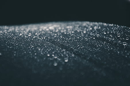 closeup photo of water dew thumbnail