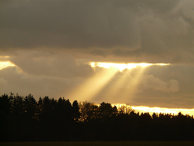 clouds with sunlight on forest thumbnail