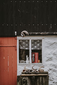 animal horns on log in front window near door thumbnail