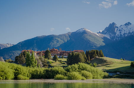 green leafed trees near body of water during daytime thumbnail