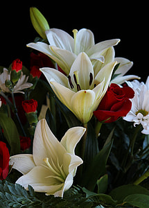 bouquet of white and red petaled flowers in bloom thumbnail