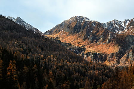 photo of forest near mountain thumbnail