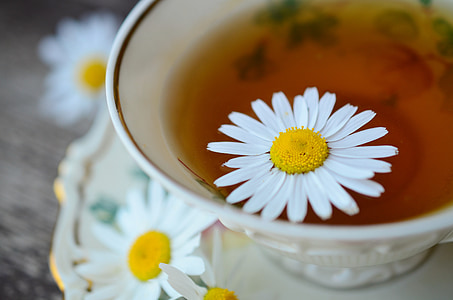 selective focus photography of white chamomile flower floating on tea thumbnail