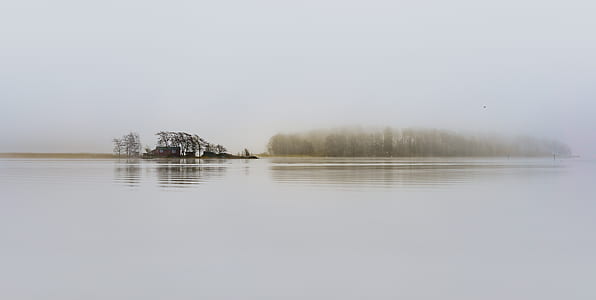 body of water with fog on shore thumbnail