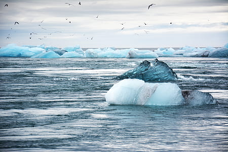 flock of flying birds above body of water with ice formation thumbnail
