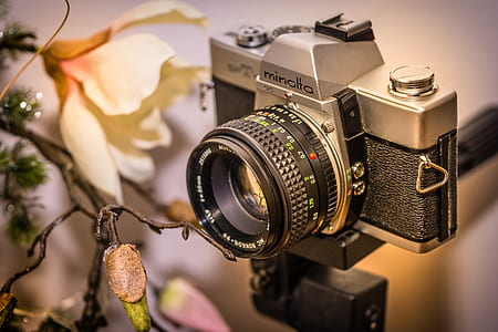 grey and black Minolta camera near green fruit thumbnail