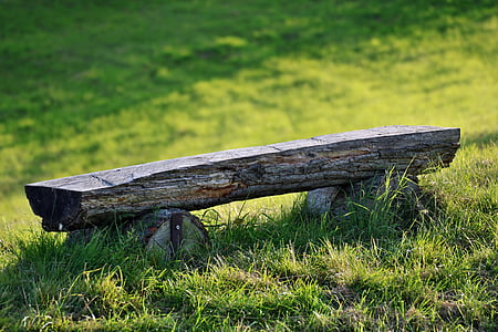 brown wooden bench on lawn thumbnail