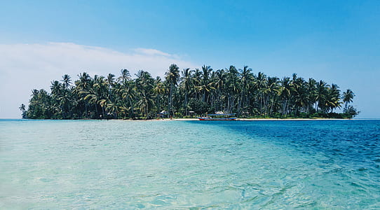 island with trees thumbnail