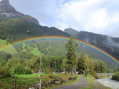 trees under the rainbow toward mountain at daytime thumbnail