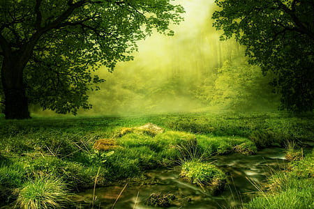 landscape photo of green grass field and trees thumbnail