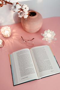 Open book on a pink background thumbnail