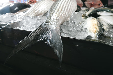 Fish tail close up thumbnail