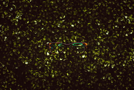 black framed eyeglasses photography thumbnail