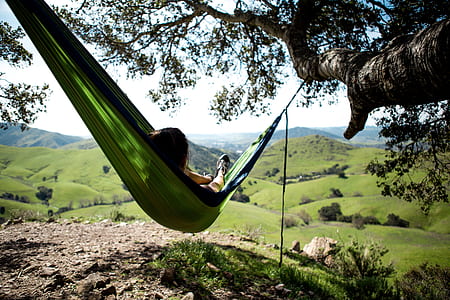 person lye on hammock under green tree thumbnail