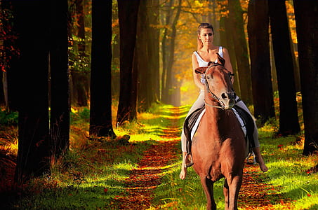 woman riding horse thumbnail