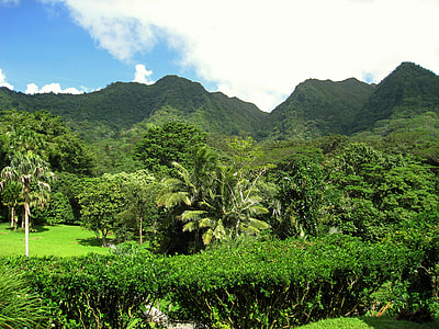 green landscape thumbnail