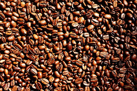 coffee bean lot thumbnail